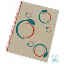 Blok College Ecology A4 linka